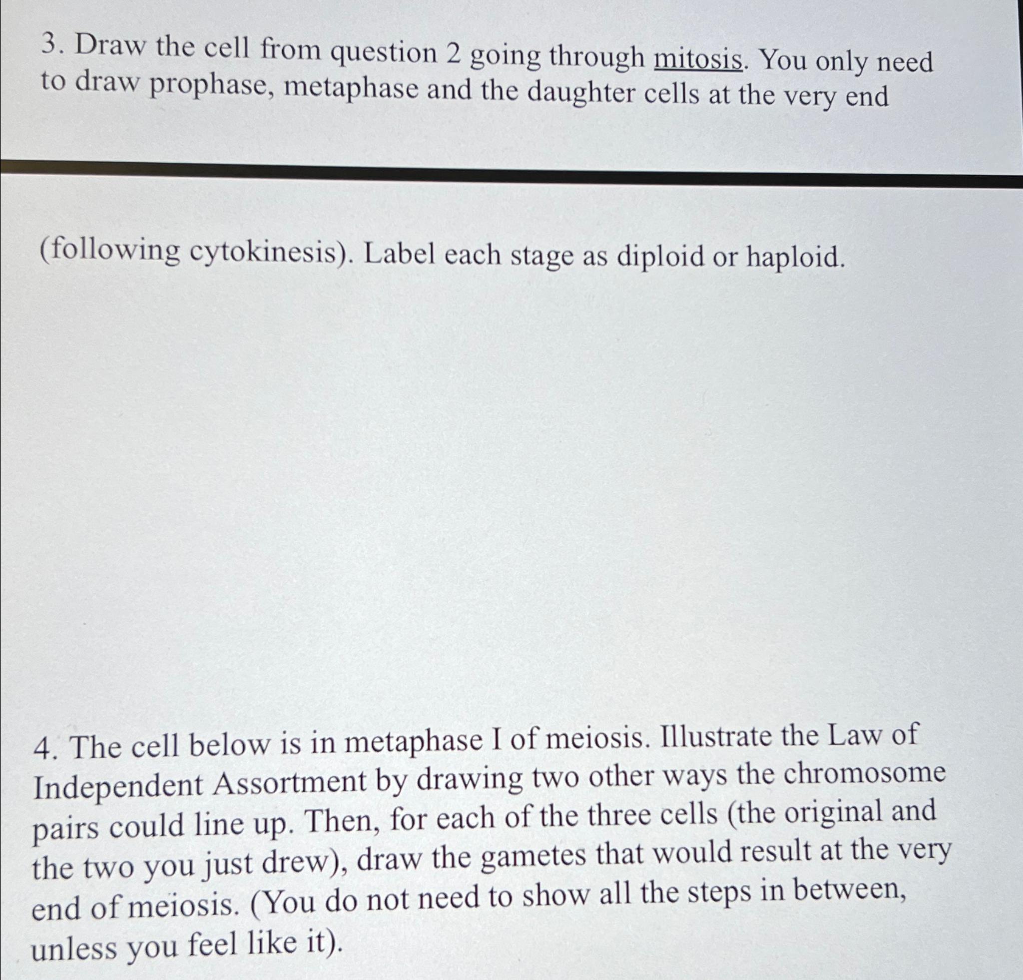 Draw The Cell From Question Going Through Mitosis Chegg