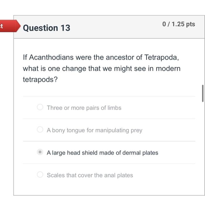 Solved Vertebrates Are Defined By A Set Of Unique Features Chegg