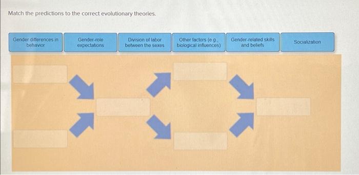 Match The Predictions To The Correct Evolutionary Chegg