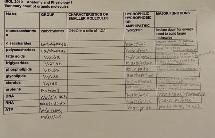 Biol Anatomy And Physiology I Summary Chart Of Chegg