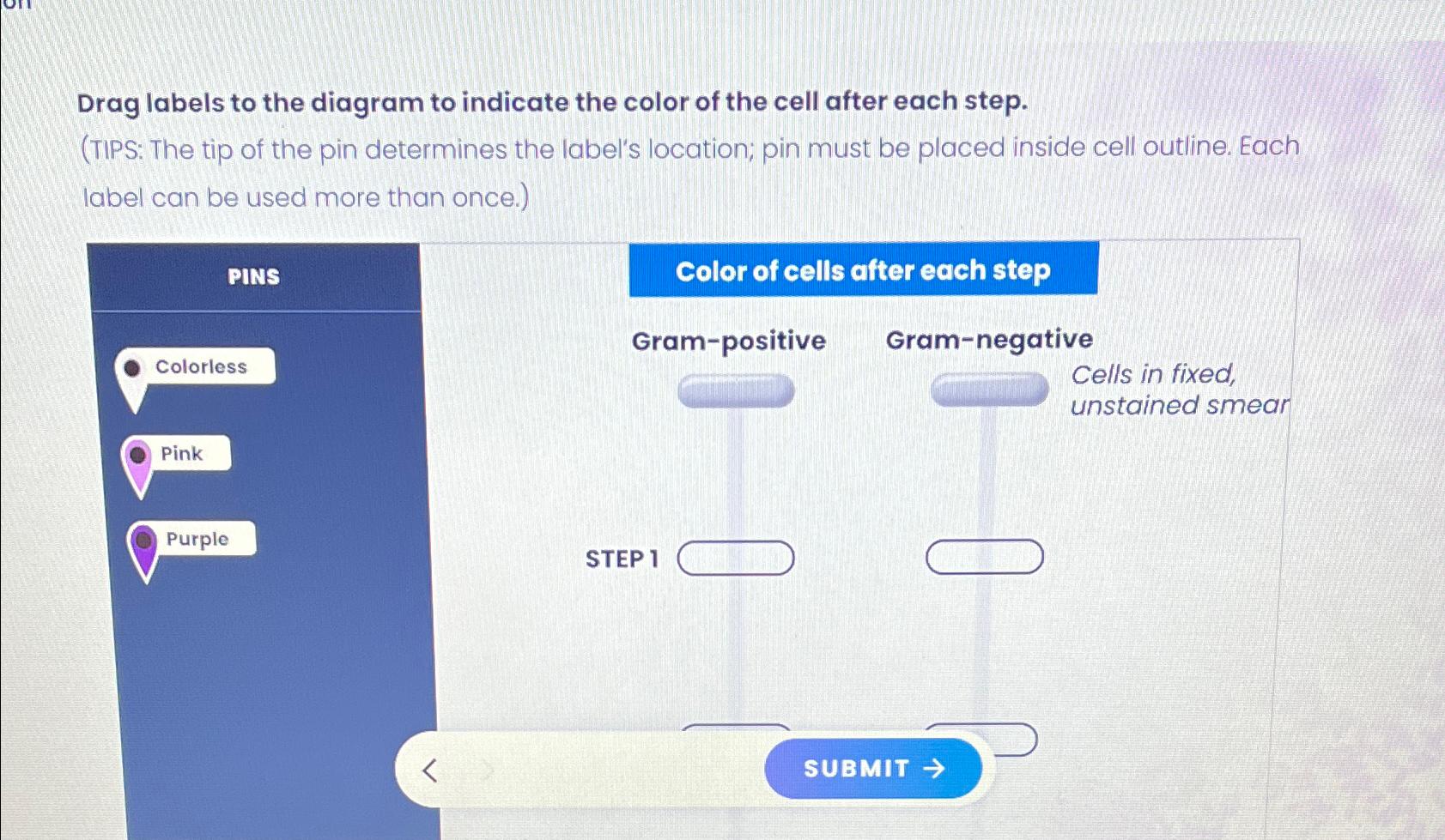 Solved Drag Labels To The Diagram To Indicate The Color Of Chegg