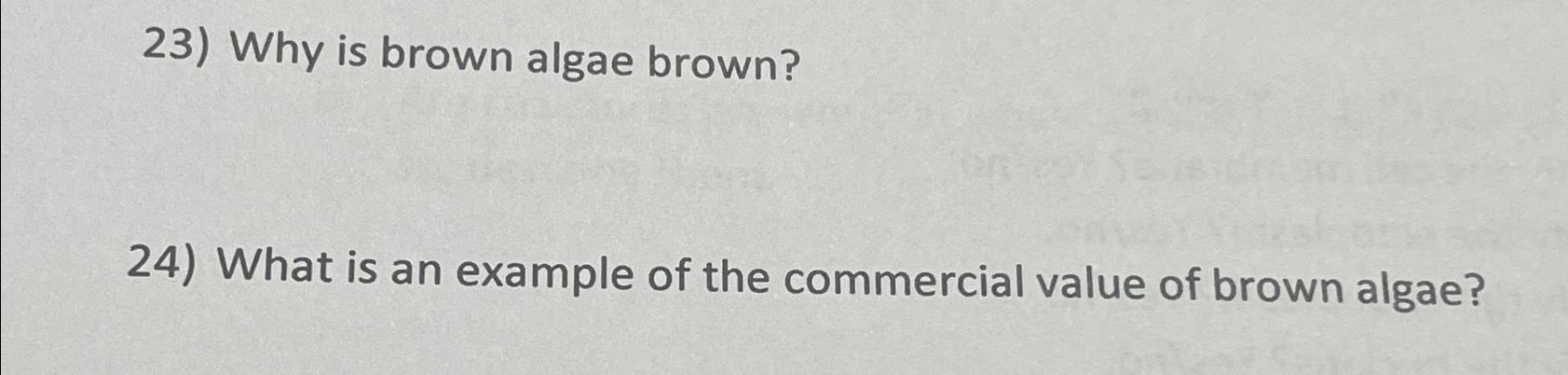 Solved Why Is Brown Algae Brown What Is An Example Of The Chegg