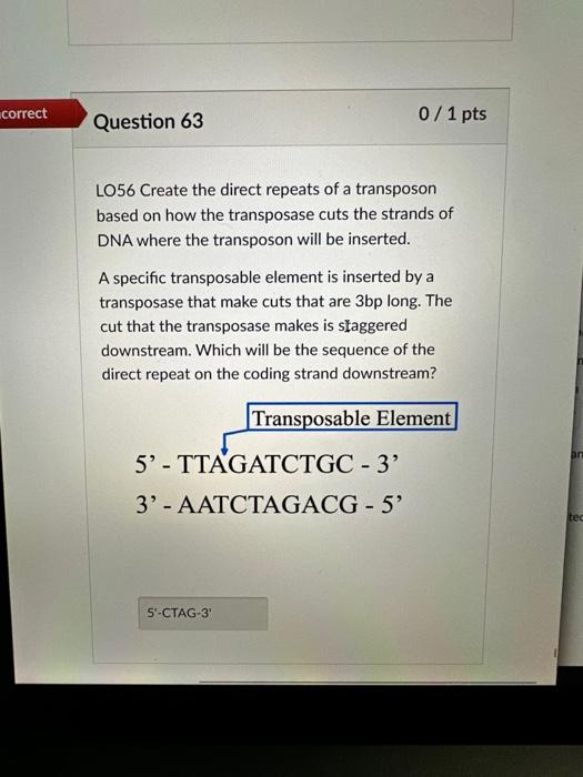 Solved Lo Create The Direct Repeats Of A Transposon Based Chegg