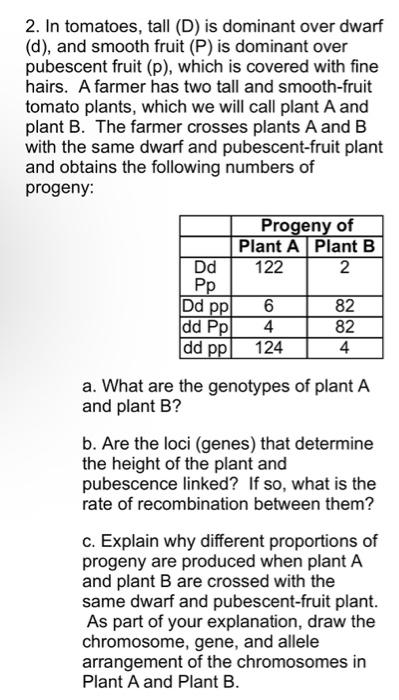 Solved 2 In Tomatoes Tall D Is Dominant Over Dwarf D Chegg