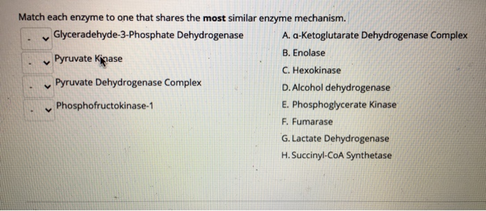 Solved Biochem Match Each Enzyme To One That Shares The Chegg