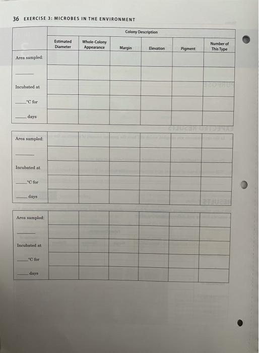 Name Date Lab Section Exercise Laboratory Report Chegg