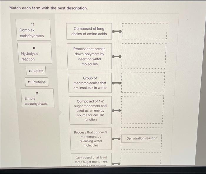 Solved Match Each Term With The Best Description Molecules Chegg