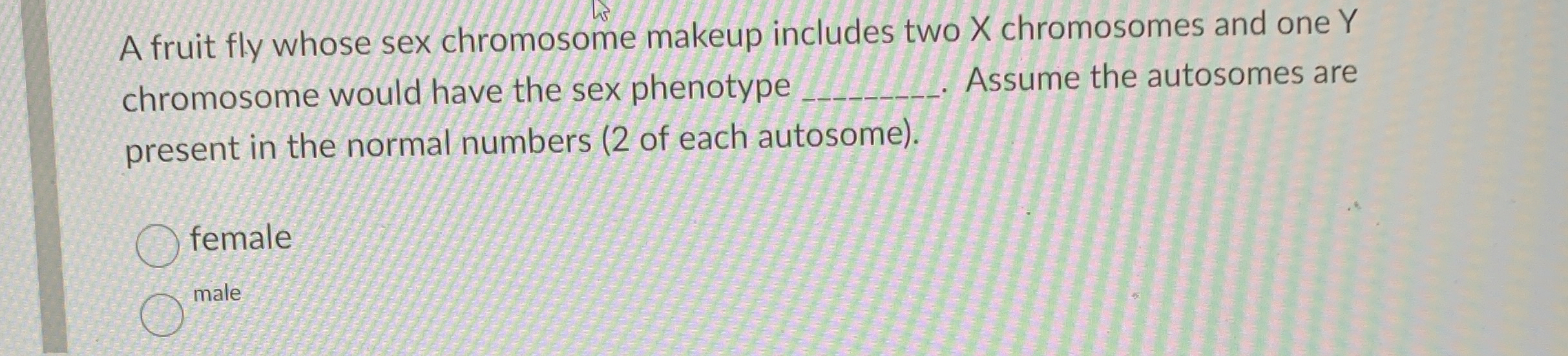 Solved A Fruit Fly Whose Sex Chromosome Makeup Includes Two Chegg
