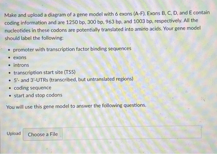 Make And Upload A Diagram Of A Gene Model With Chegg