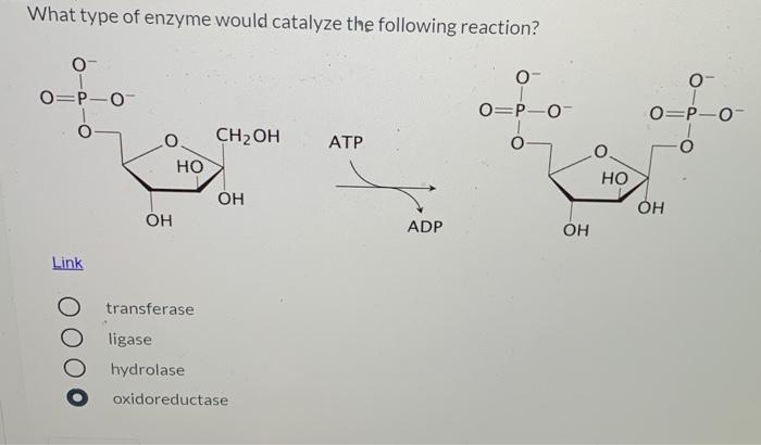 Solved What Type Of Enzyme Would Catalyze The Following Chegg