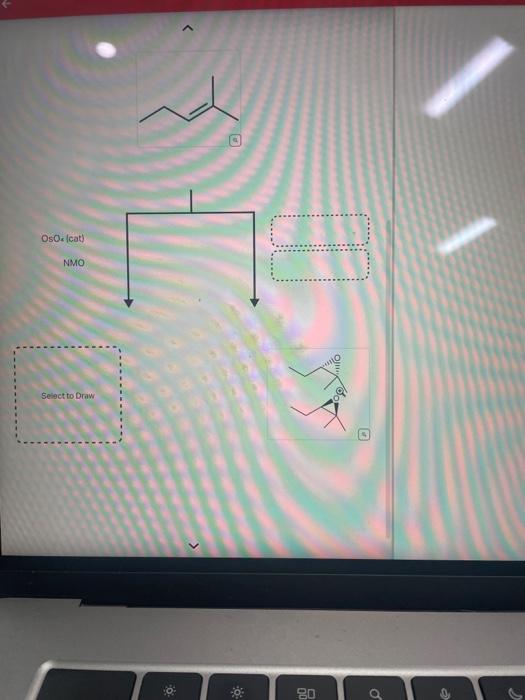 Solved A Common Alkene Starting Material Is Shown Below Chegg