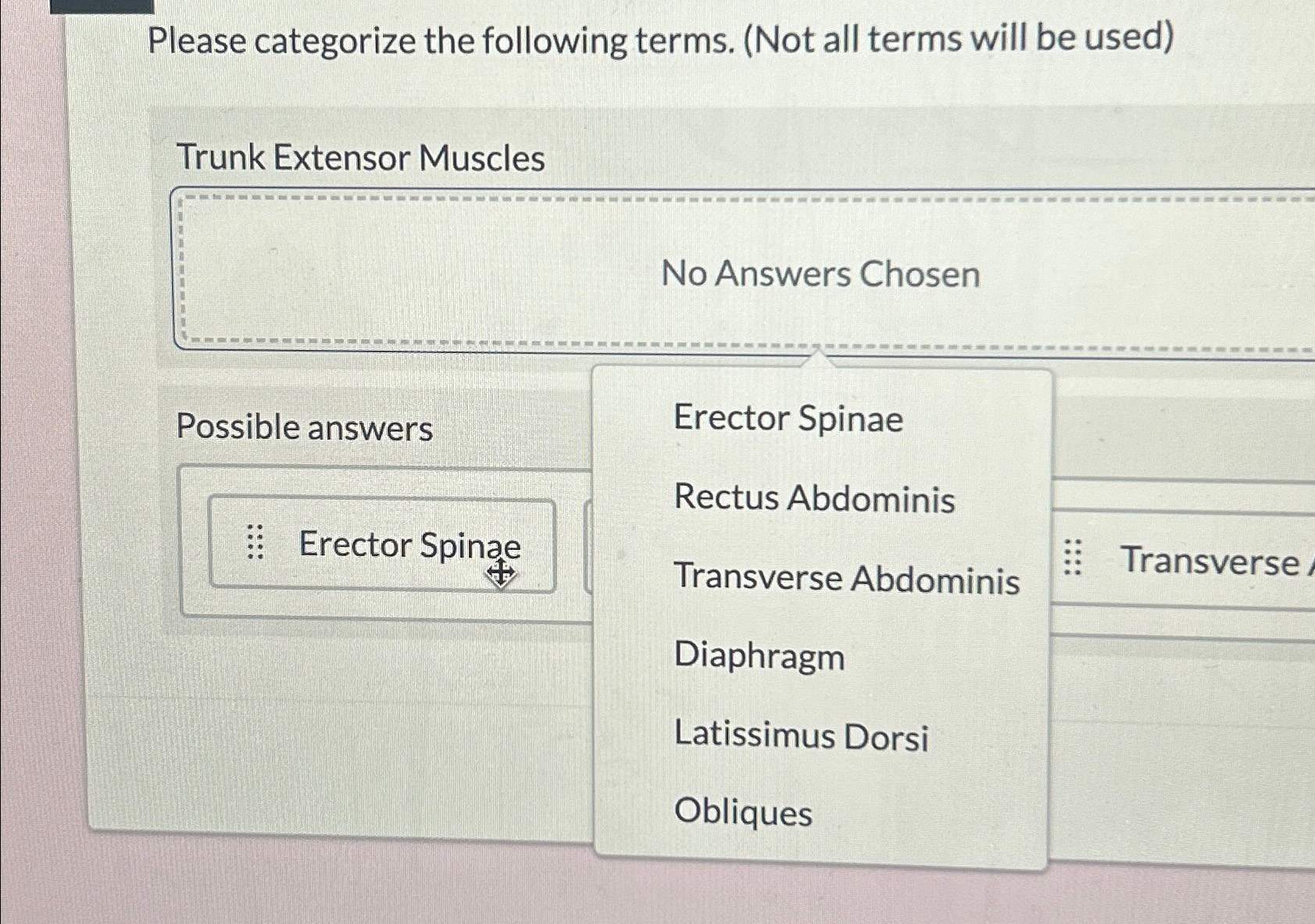 Solved Please Categorize The Following Terms Not All Terms Chegg