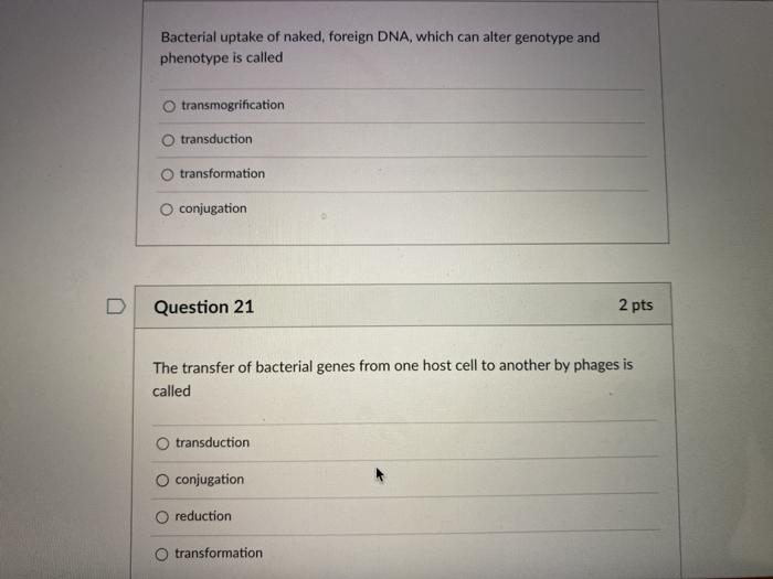 Solved Bacterial Uptake Of Naked Foreign DNA Which Can Chegg