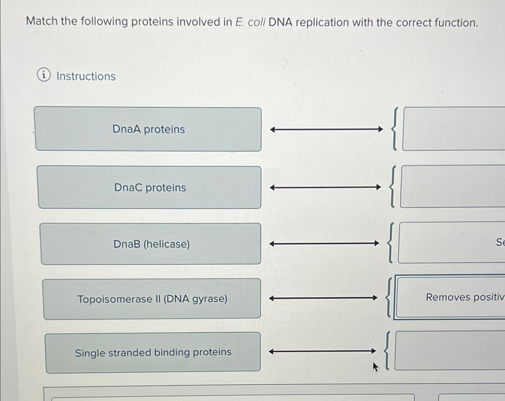 Solved Match The Following Proteins Involved In E Coli Dna Chegg