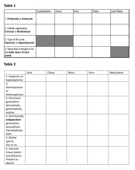 Solved Table Mosses Ferns Gymnosperms Angiosperms Chegg