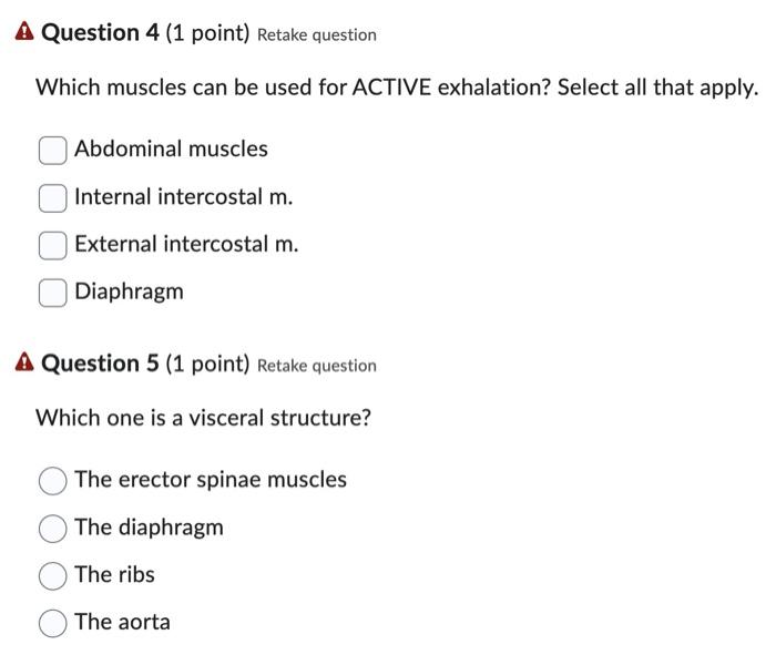 Solved Which Muscles Can Be Used For Active Exhalation Chegg