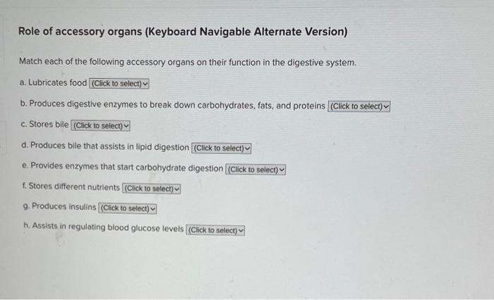 Solved Role Of Accessory Organs Keyboard Navigable Chegg