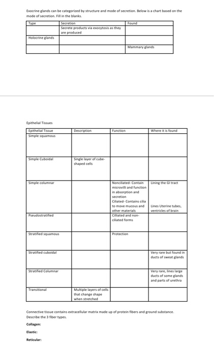 Solved Exocrine Glands Can Be Categorized By Structure And Chegg