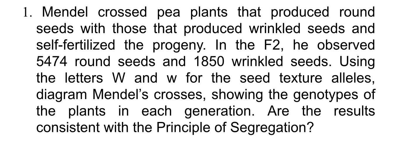 Solved Mendel Crossed Pea Plants That Produced Roundseeds Chegg