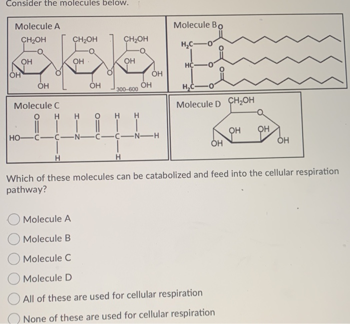 Solved Consider The Molecules Below Molecule Bo Molecule A Chegg