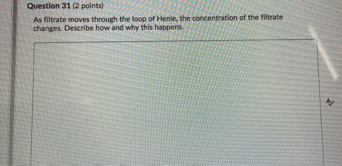 Solved Question Points As Filtrate Moves Through The Chegg