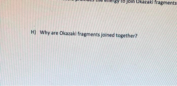 Solved To Join Okazaki Fragments H Why Are Okazaki Chegg