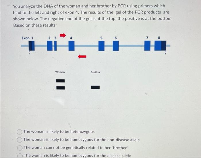 Solved Hemophilia Is An X Linked Recessive Condition A Chegg