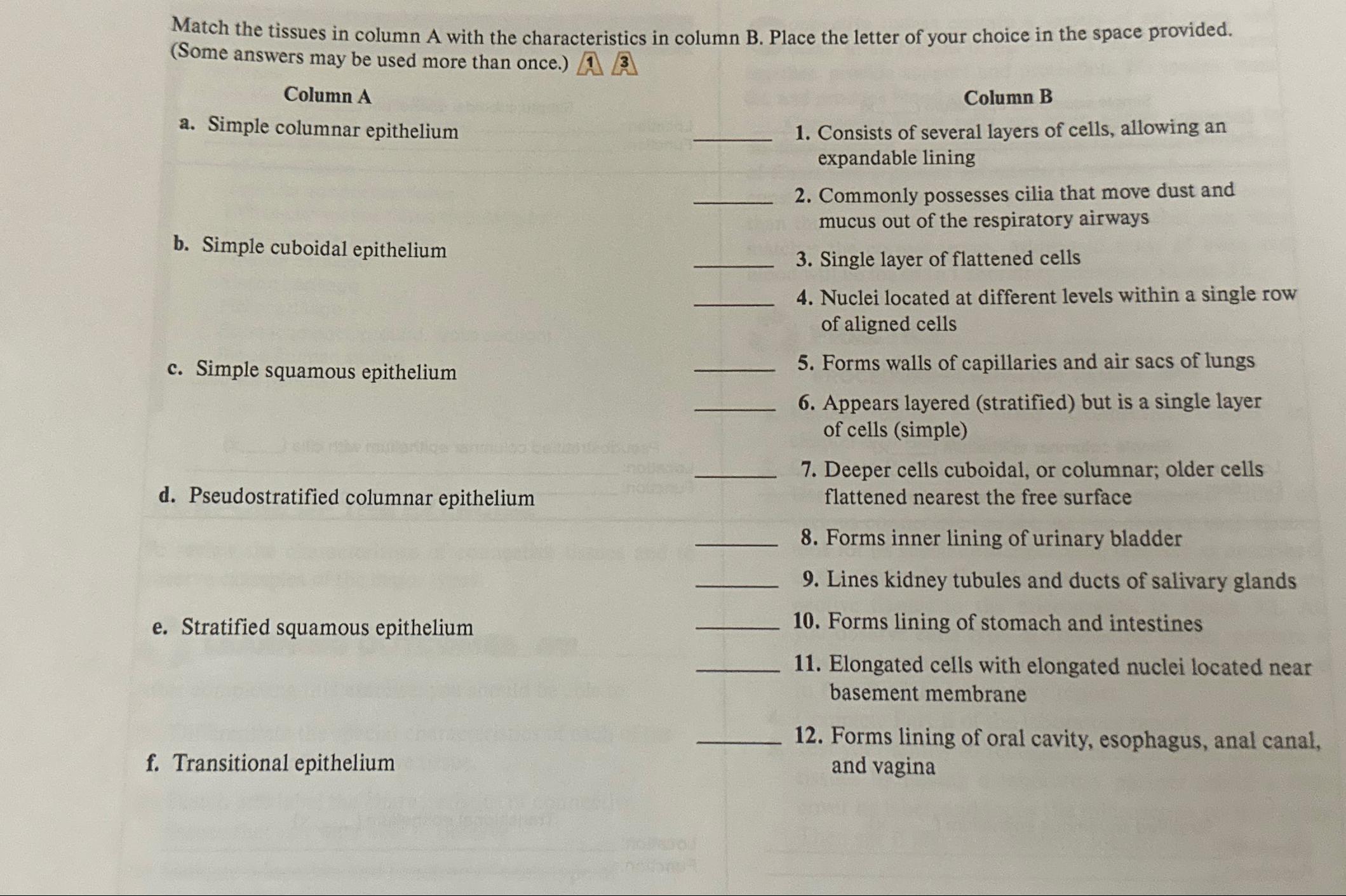 Solved Match The Tissues In Column A With The Chegg