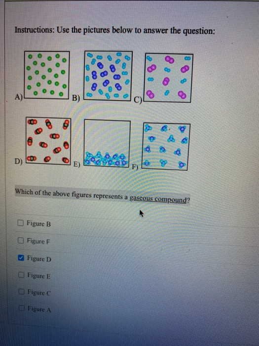 Solved Instructions Use The Pictures Below To Answer The Chegg