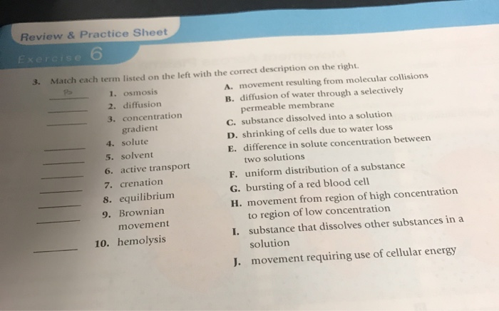 Solved Review Practice Sheet Exercise 3 Match Each Term Chegg