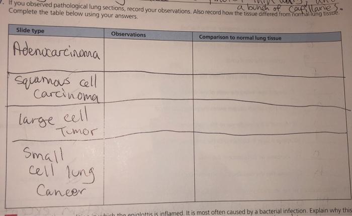 Solved If You Observed Pathological Lung Sections Record Chegg