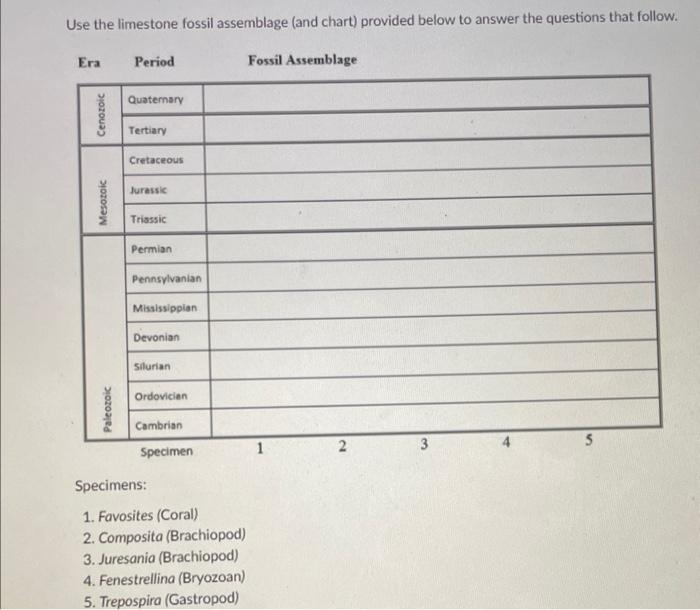 Solved Use The Limestone Fossil Assemblage And Chart Chegg
