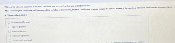 Solved Which Of The Following Structures Or Foramina Can