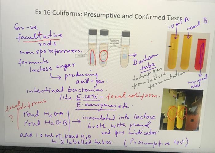 Solved Experiment Date Experiment Title Chegg