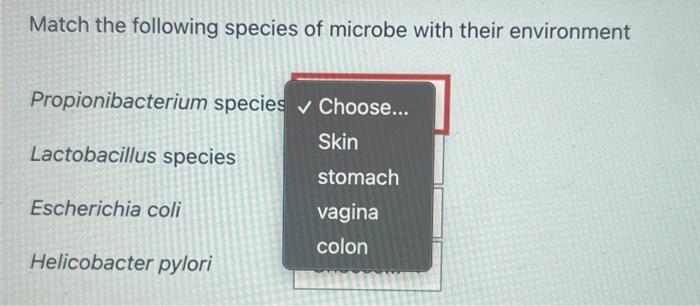 Solved Match The Following Species Of Microbe With Their Chegg