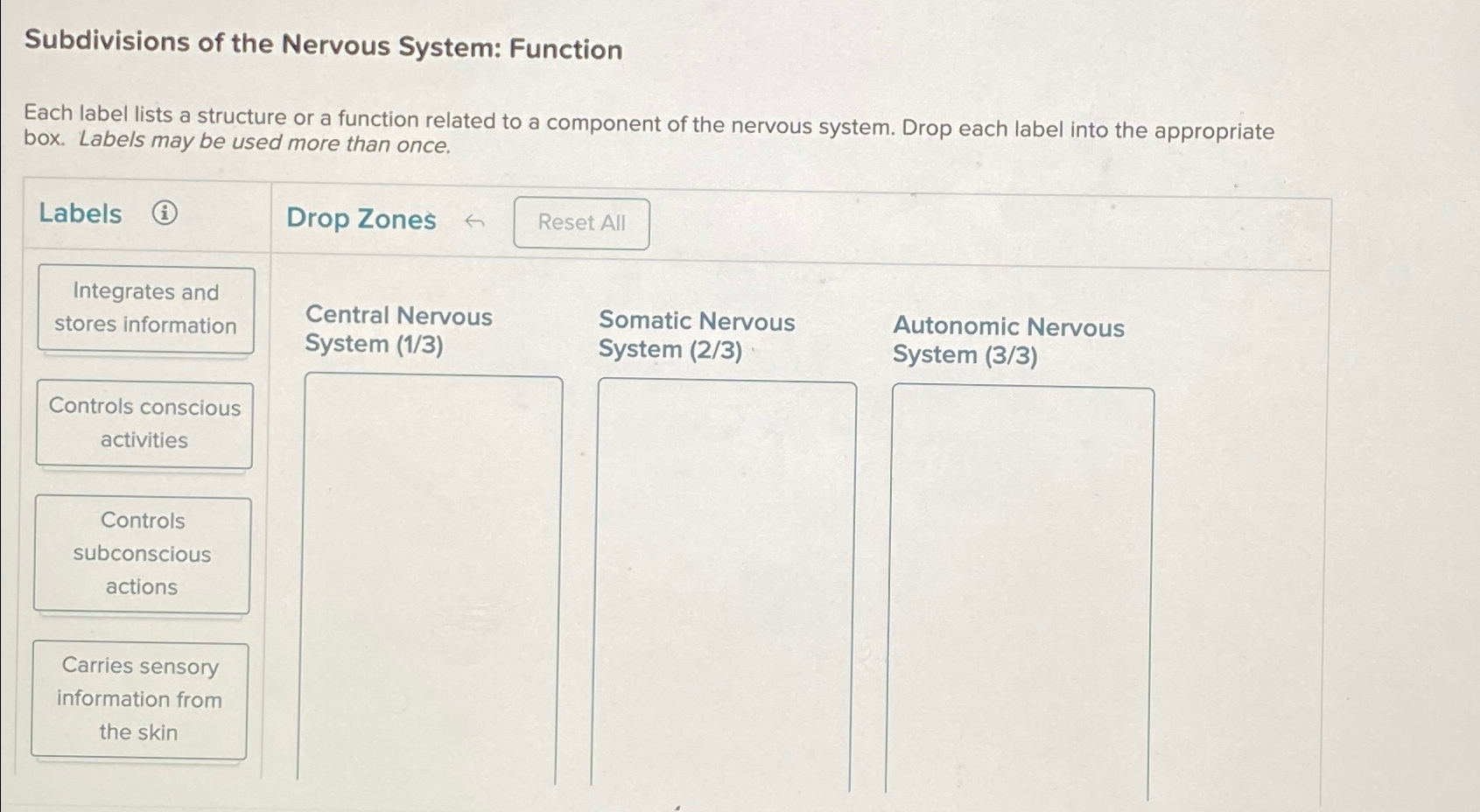 Solved Subdivisions Of The Nervous System FunctionEach Chegg