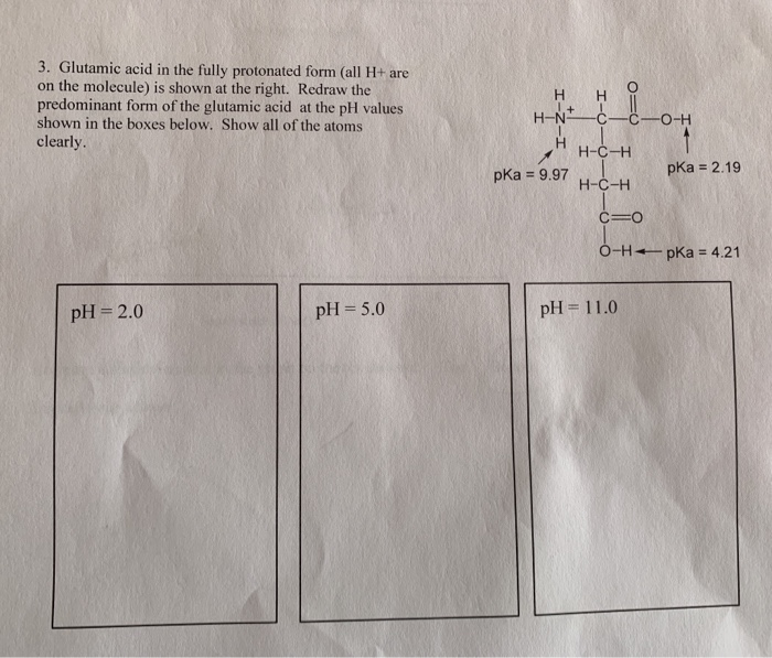 Solved H 3 Glutamic Acid In The Fully Protonated Form All Chegg