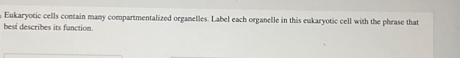 Solved Eukaryotic Cells Contain Many Compartmentalized Chegg