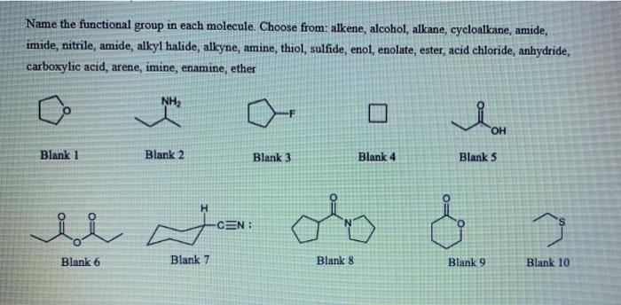 Solved Name The Functional Group In Each Molecule Choose Chegg