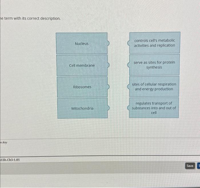 Solved E Term With Its Correct Description Chegg