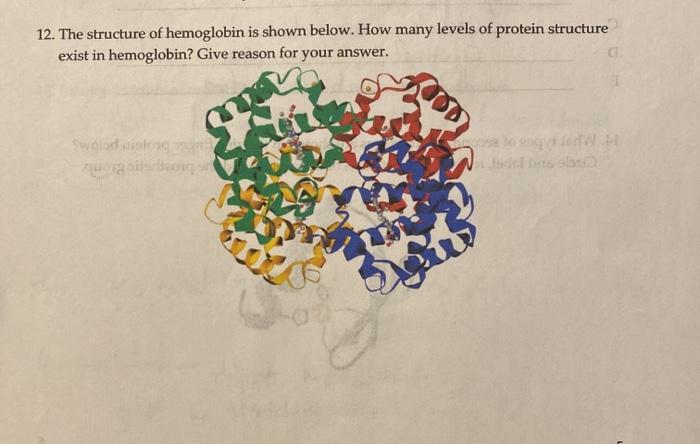 Solved Draw The Following Peptides In Their Chegg