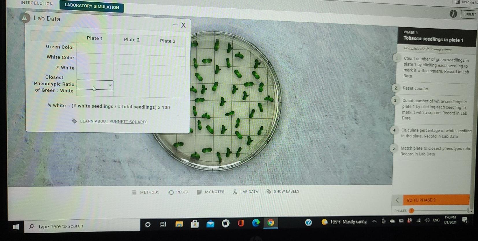 MENDELIAN GENETICS MONOHYBRID PLANT CROSS 2 Reading Chegg