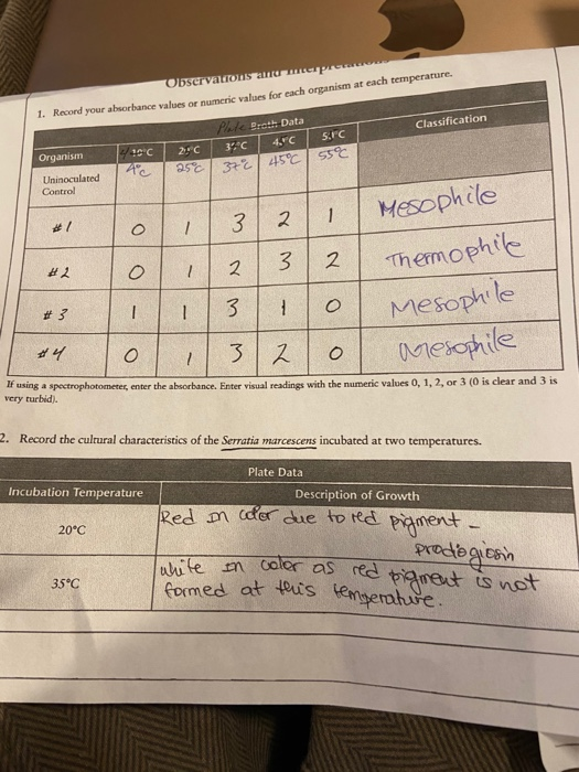 Solved Observations 1 Record Your Absorbance Values Or Chegg