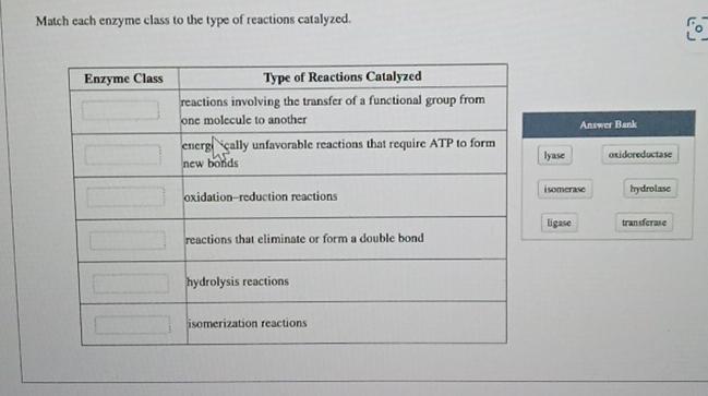 Solved Match Each Enzyme Class To The Type Of Reactions Chegg