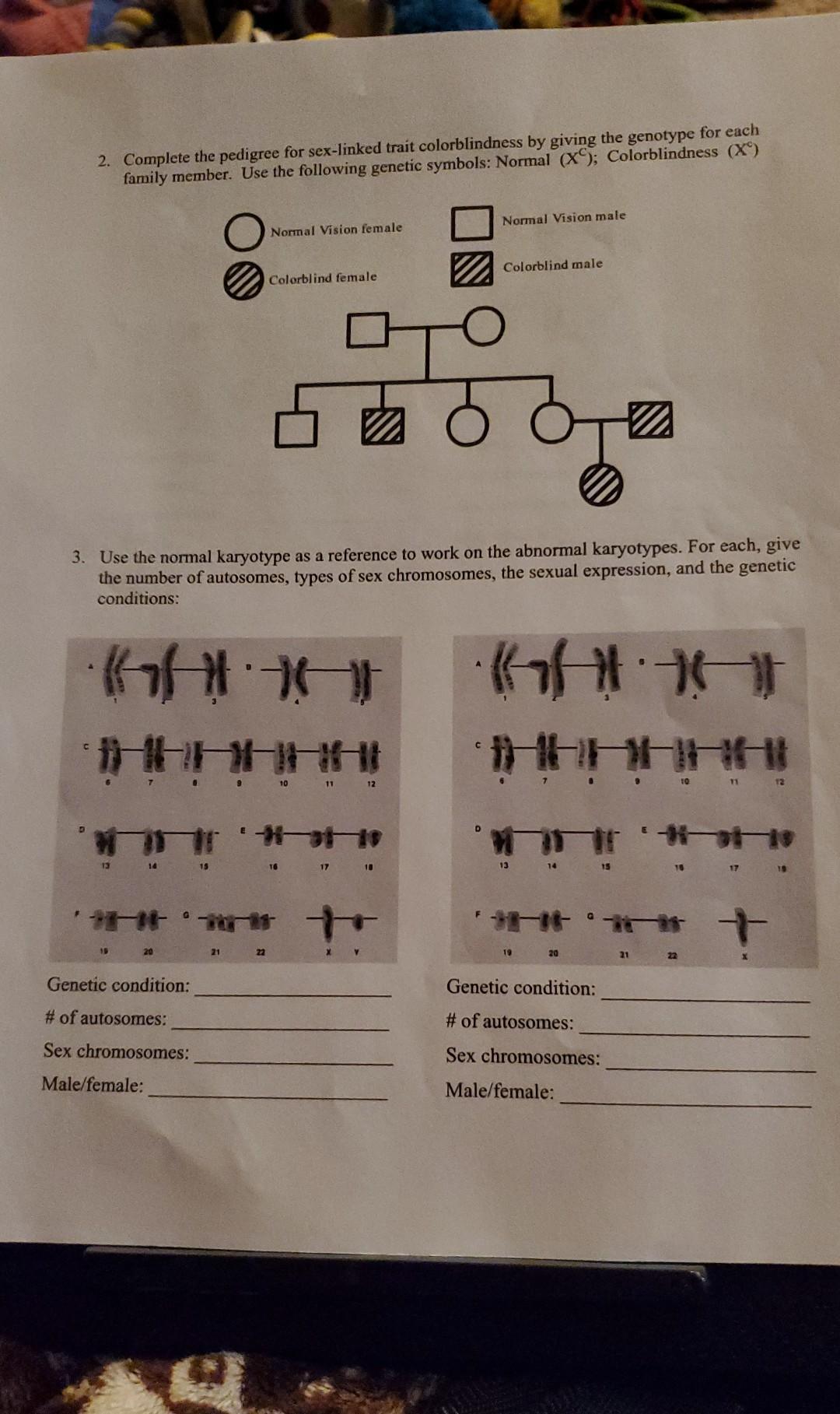 Solved 2 Complete The Pedigree For Sex Linked Trait Chegg