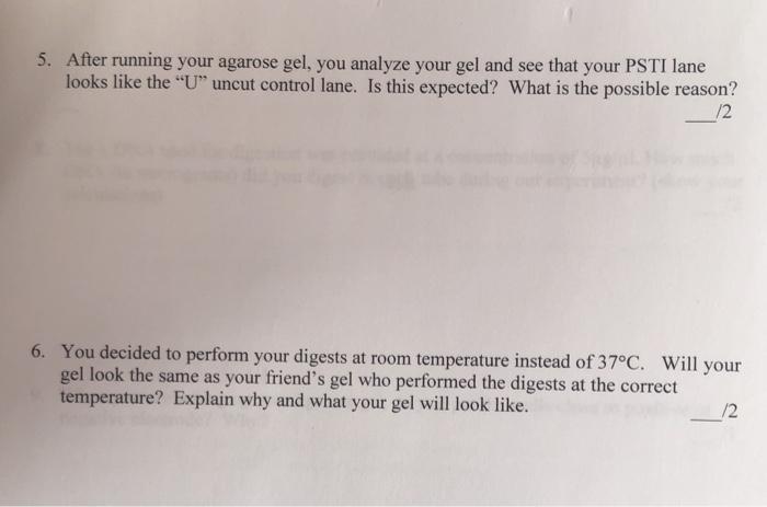 Solved 5 After Running Your Agarose Gel You Analyze Your Chegg