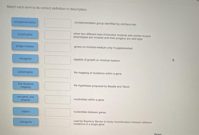 Solved Match Each Term To Its Correct Definition Or Chegg