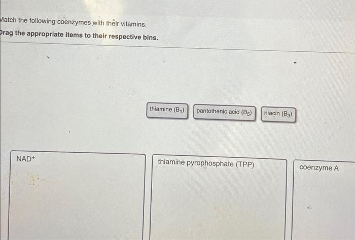 Solved Watch The Following Coenzymes With Their Vitamins Chegg