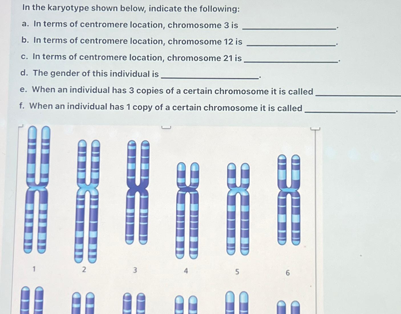 Solved In The Karyotype Shown Below Indicate The Chegg