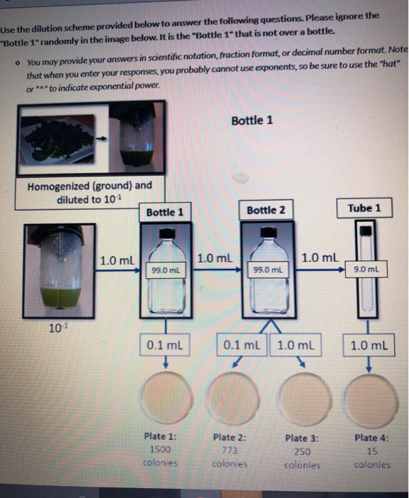 Solved Use The Dilution Scheme Provided Below To Answer The Chegg